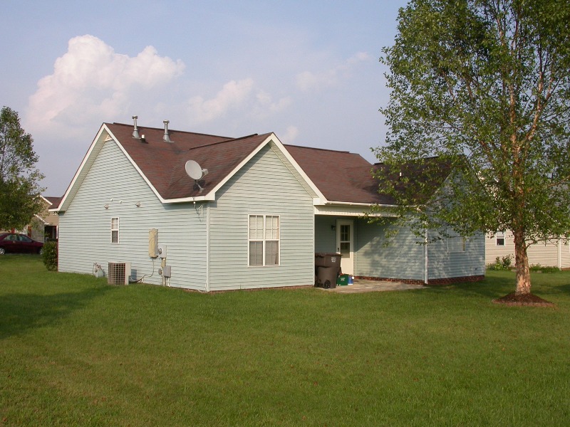 Rear View